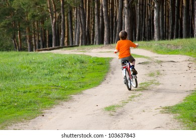Boy riding a bicycle on the road near the pine forest