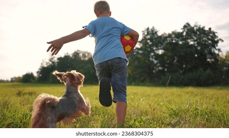 boy runs with a ball and a dog. happy family child dream concept. boy son running through a field of green grass in the park, playing with a ball and a dog leading a pet lifestyle - Powered by Shutterstock