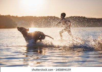 A boy runs with the dog in the lake, splashing the water around. Playful, happy childhood moments. The silhouette is reflecting on the water. Beautiful sunny summer day.