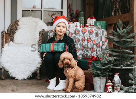 Similar – Image, Stock Photo Christmas dog