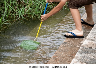 A boy scooping river creatures with a net