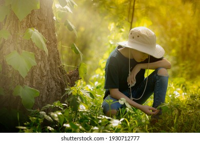 Boy Scout With Hat, Observing In Great Detail, Plants And Insects Of Nature. Boy In Idyllic Jungle-like Landscape