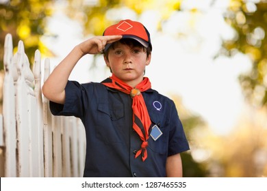 873 Scout Salute Images, Stock Photos & Vectors | Shutterstock