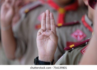 Boy Scout Symbol
