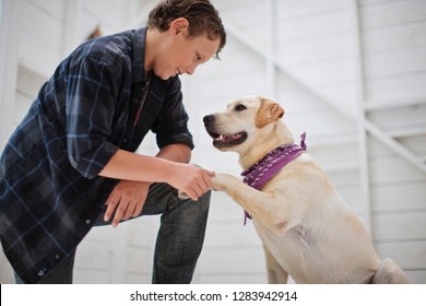 Boy Shaking Hands With His Dog.