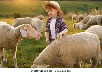 Boy with sheep on green pasture. Farm animals - Powered by Shutterstock