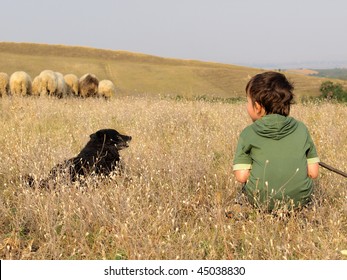 Boy And Shepherd Dog