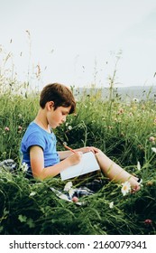 The boy sits in the grass the mountain   draws picture the top the mountain 