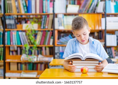 Boy sitting down on a chair reading a book against multi colored bookshelf in library. Education, Knowledge, Bookstore, Lecture. - Powered by Shutterstock