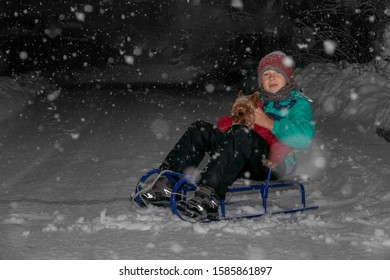 The Boy Sitting On A Sled, Keeps The Dog During Heavy Snowfall, In Winter, At Night