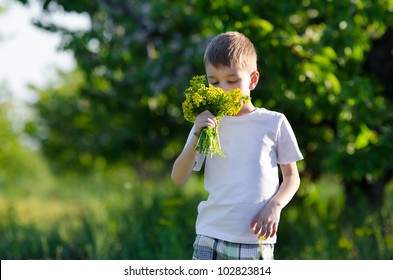 The Boy A Smelling Bouquet Of Flowers