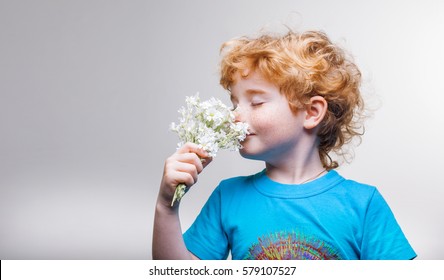 Boy Smelling A Flower, Spring, Studio, Child Isolated On White Background, Treat Allergies, Drugs Against Allergies.