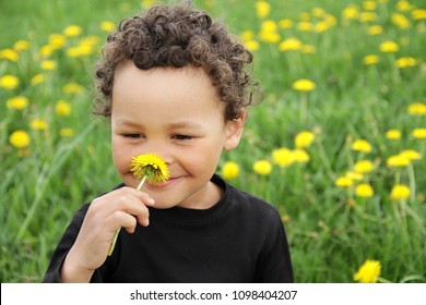 Boy Smelling Flowers