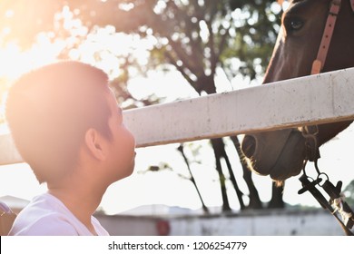 A Boy Is Smiling On A Wheelchair.
He Sitting In The Ranch.
In The White Fence There Is A Brown Horse. Happy Disabled Child Concept.