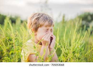 Boy sneezes because of an allergy to ragweed.