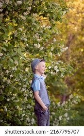 Boy, Son, Child, Vertical, Spring, Tree, Flowers, Shirt, Green, White, White Tree, Hands, Face, One, Person, Small, Sun, Warmth, Laugh, Watch, Play, Go