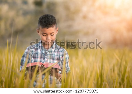 Boy standing and reading book or bible in rice field. young christian concept.