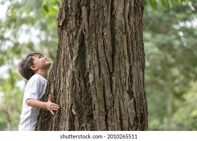 A Boy Stands Hugging A Big Tree And Looking Up On Tree.Pollution Issue.