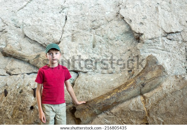 A boy stands near the\
wall where the fossilized dinosaur bones (Dinosaur National\
Monument, Utah)