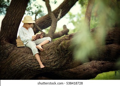 A boy in a straw hat reading a book on a large spreading tree. Children and science.
