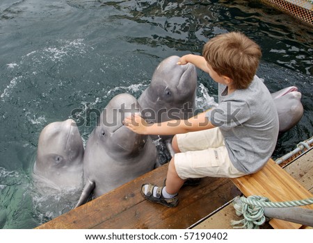 The boy stroke the dolphins who are jumping out of water