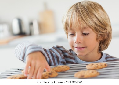 Boy taking a cookie in the kitchen