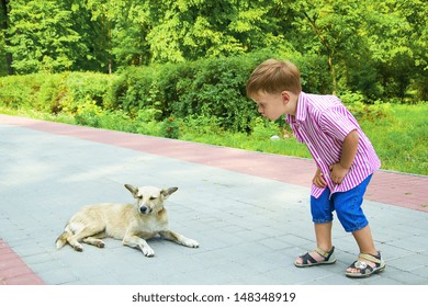 Boy Talks To Dog