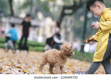 The boy in traditional Vietnamese costume plays along the road with beautiful trees at sunset in Hanoi, Vietnam. date 04/03/2018