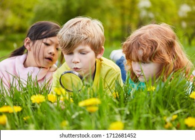 Boy and two girls discover nature and the environment with a magnifying glass