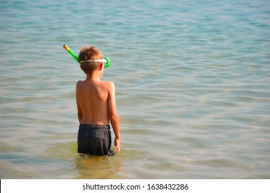 Diver Seaside Young 图片 库存照片和矢量图 Shutterstock