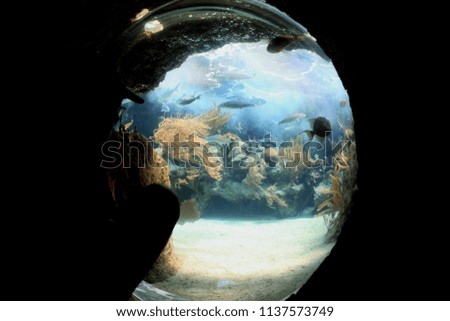 Similar – Image, Stock Photo fisheye Green Buoy Ocean