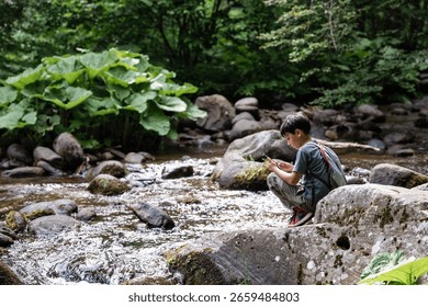 Boy using mobile phone app to identify plants and insects while exploring a river in the forest
