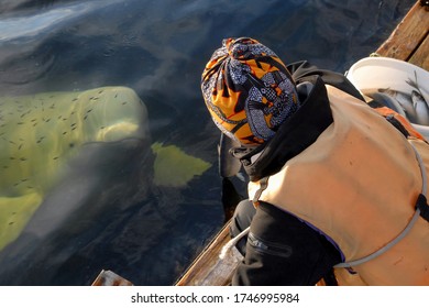 Boy Watching The Beluga Whale. Nizhnyaya Pulonga Village, Republic Of Karelia, Russia.