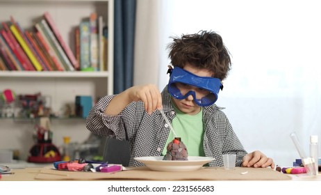 boy watching a chemistry experiment. Chemical reaction. the balloon is blow up when soda is added to a bottle of vinegar. Smart little scientist doing experiments. Education concept. - Powered by Shutterstock