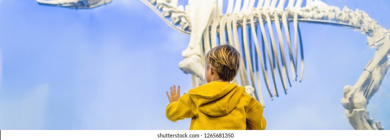 The Boy watching dinosaur skeleton in museum BANNER, LONG FORMAT - Powered by Shutterstock