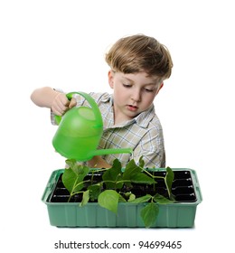 boy watering the plant with green can, isolated on white
