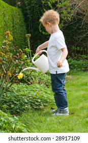 Boy is watering plants in the garden