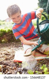 Boy Watering Seedlings In Ground On Allotment
