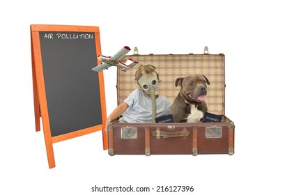 Boy Wearing Gas Mask Inside Vintage Suitcase With Purebred Dog Pet And US Passport Airborne Airplane Flying By Isolated On White Background