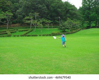 The boy who does bug collecting