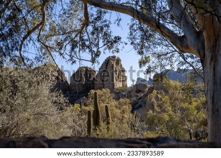 Boyce Thompson Arboretum in Superior, Arizona