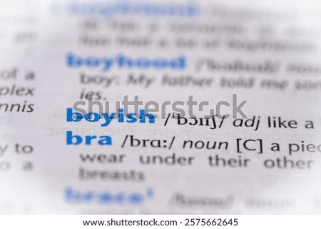 Boyish word in a dictionary. Selective focus, close up.