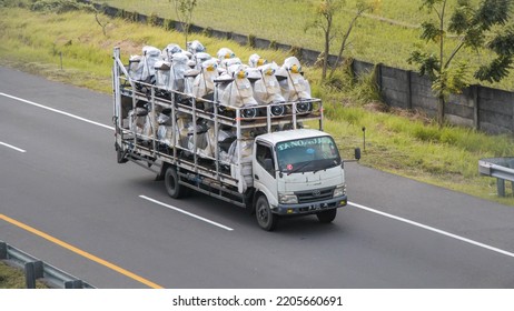 Boyolali Indonesia August 31 2022 Truck Transporting Brand New Vespa Motorcycle Driving Fast On Trans Jawa Highway