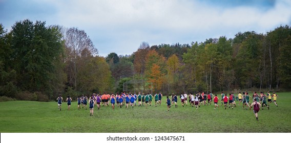 Boys Cross Country Meet With Multiple Teams Running Away From The Camera And Through A Field On A Beautiful Fall Day.