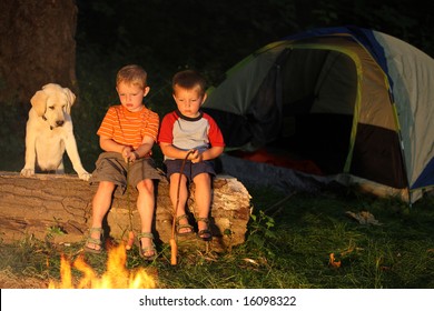 boys-dog-roasting-marshmallows-campfire-260nw-16098322.jpg