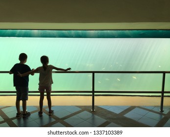 Boys and girls Standing beside the iron fence that had a large fish tank They looked at the large aquarium, In front of. silhouette - Powered by Shutterstock