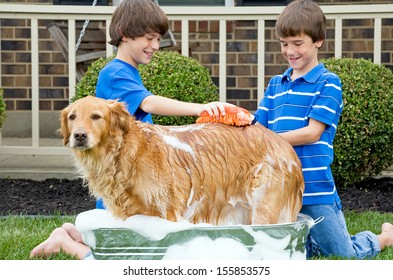 Boys Giving Dog A Bath