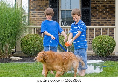 Boys Giving Dog A Bath