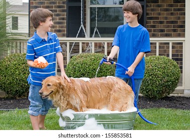 Boys Giving Dog A Bath