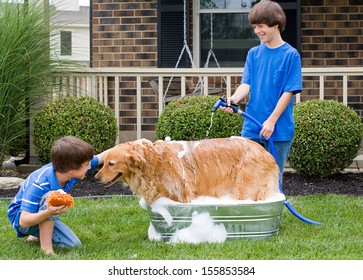 Boys Giving Dog A Bath